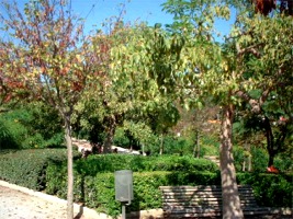 Paloma Park (2)